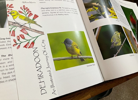 Webinar Event Webinar Event