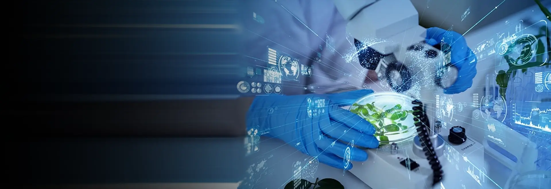 B.Tech. Biotechnology B.Tech. Biotechnology