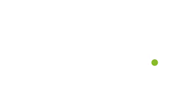 Delloite Delloite