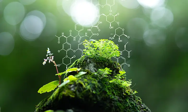 Food and environmental Microbiology