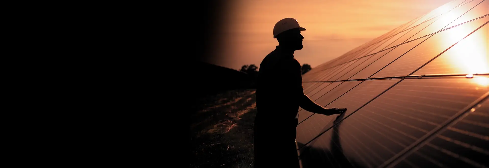 Department of Sustainability Engineering