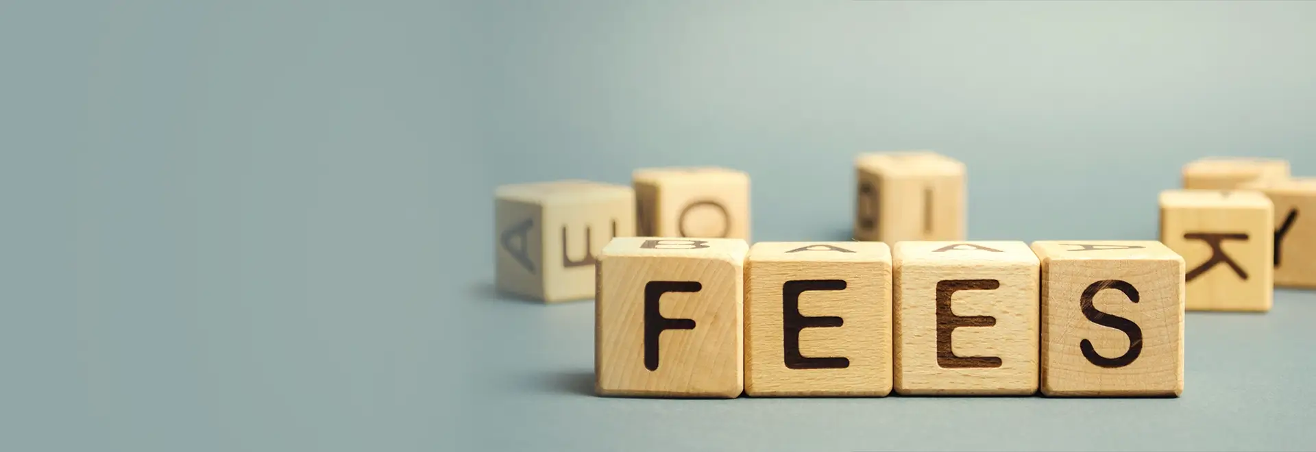 Fee Structure - Global Program Fee Structure - Global Program