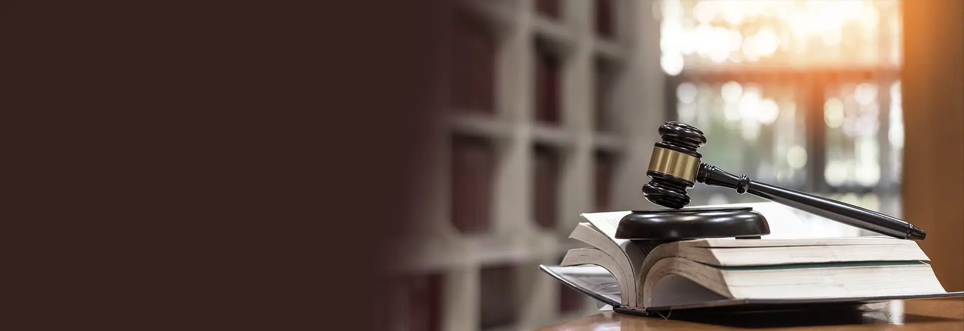 Minors for School of Law