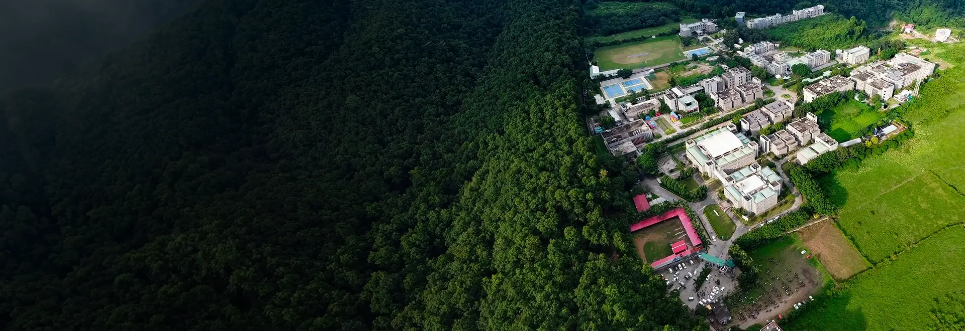 Social Impact Banner