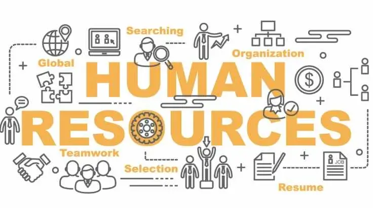 MBA in Human Resource Management: Job Roles and Career Opportunities MBA in Human Resource Management: Job Roles and Career Opportunities