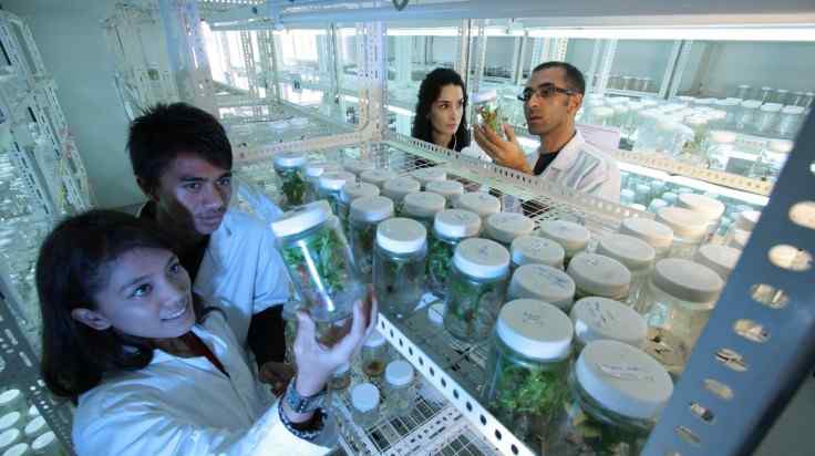 Rev up your career with a B.Tech. in Biotechnology Rev up your career with a B.Tech. in Biotechnology