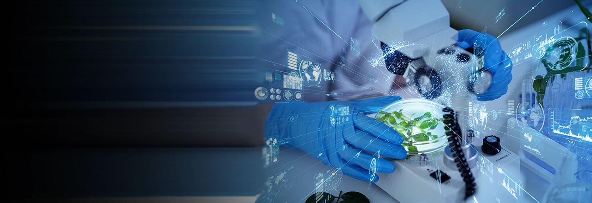 Research and Innovation Units