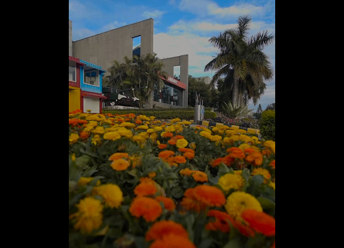 UPES Campus UPES Campus