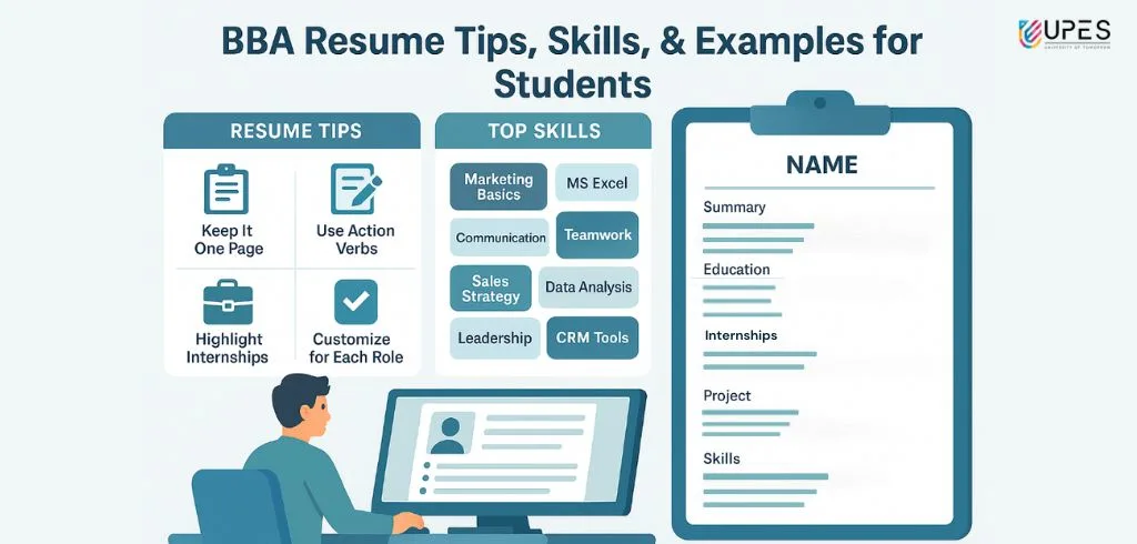 bba resume format and examples
