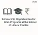 upes scholarship for bsc hons programs