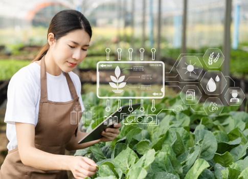 Agriculture and Rural Development