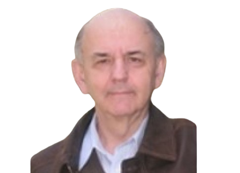Prof Ajay Mandal