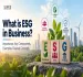 what is esg in business